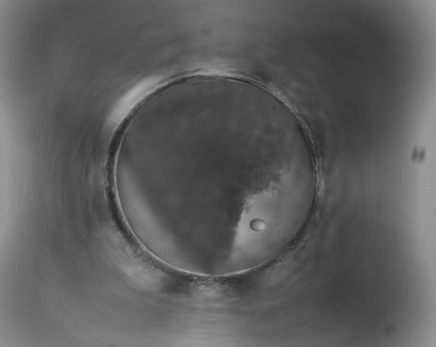 X0000113560199200910021603