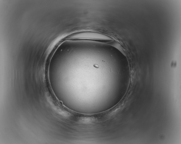 X0000113560200200910021603