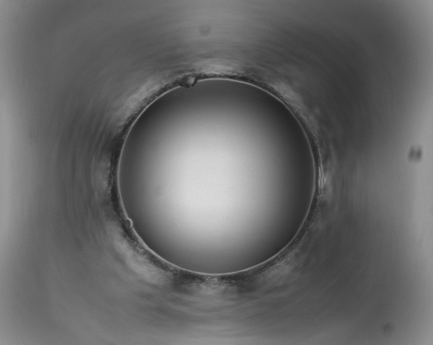 X0000113560201200910021603