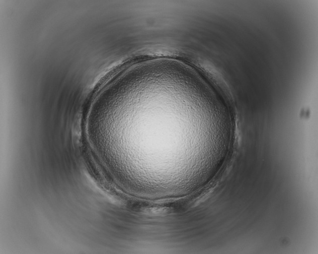 X0000113560202200910021603