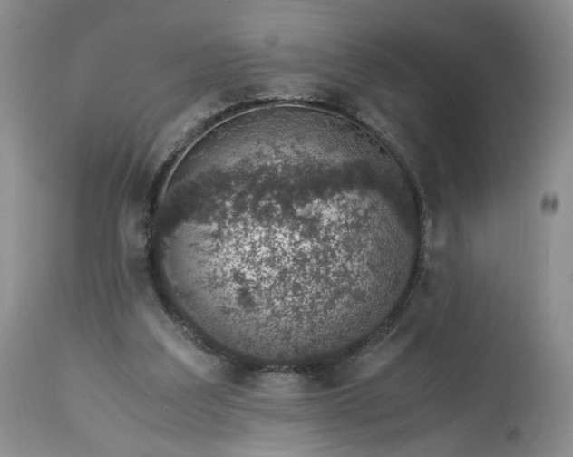 X0000113560203200910021603