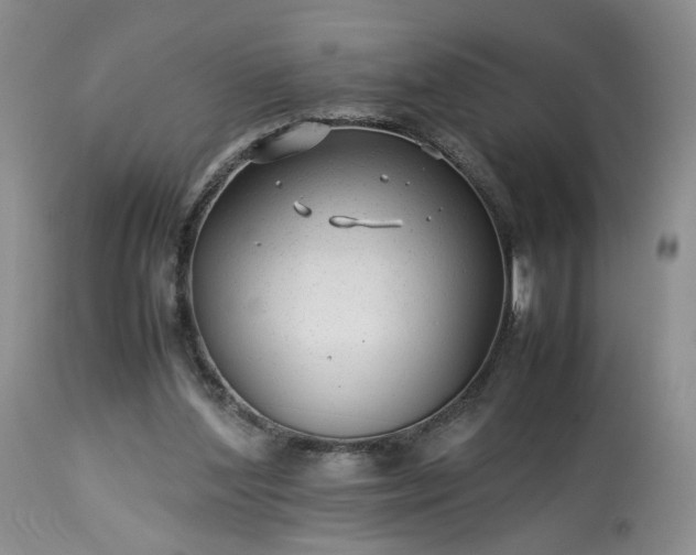 X0000113560204200910021603