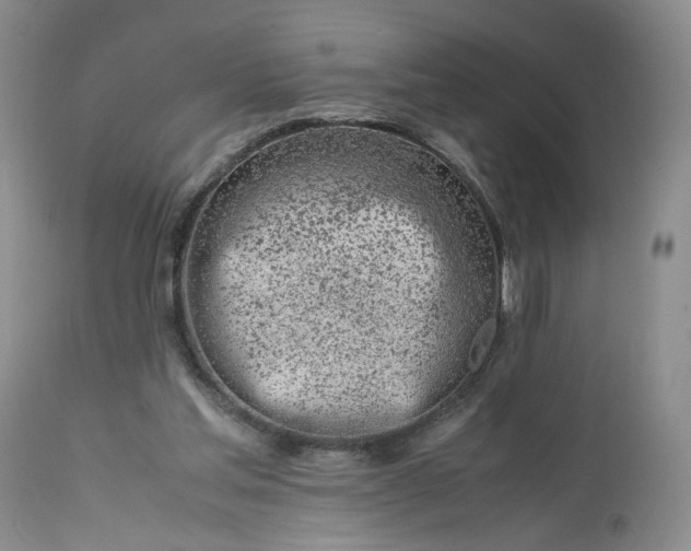 X0000113560205200910021603