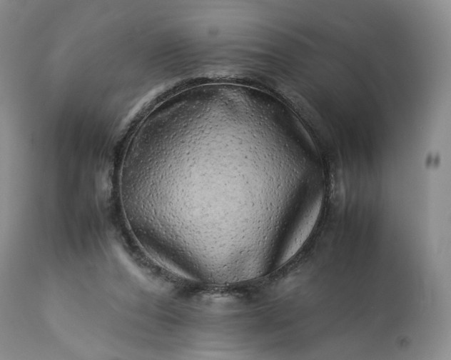 X0000113560208200910021603