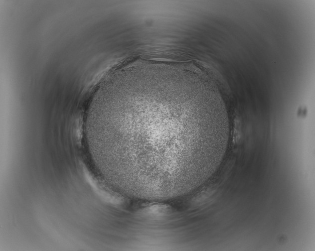 X0000113560210200910021602