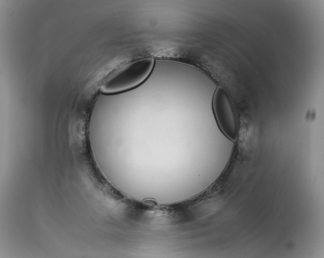 X0000113560211200910021602