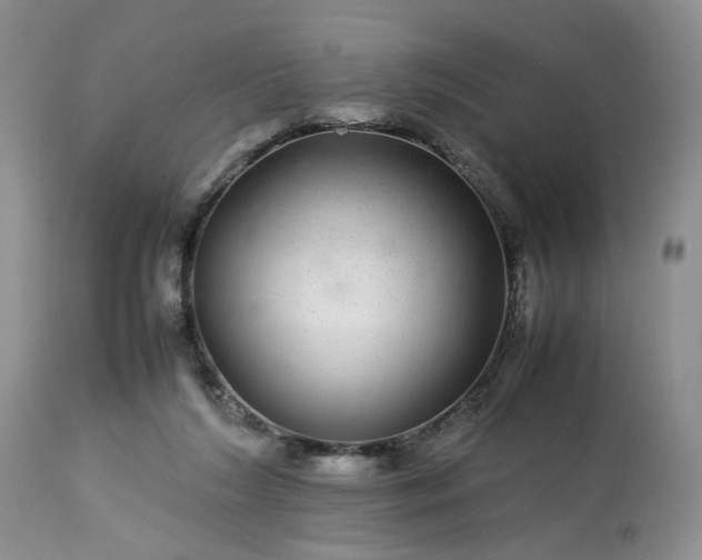 X0000113560212200910021602