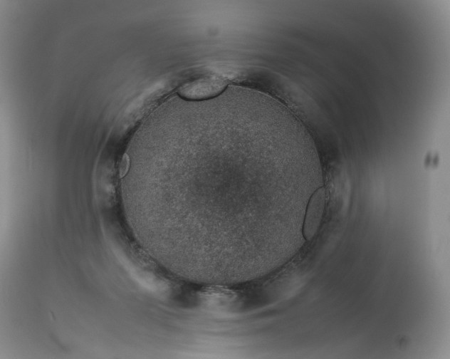 X0000113560215200910021602