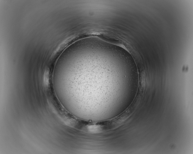 X0000113560216200910021602