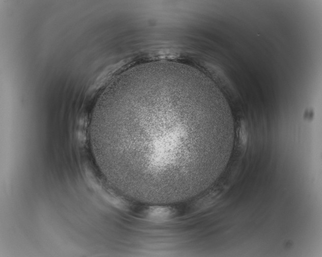 X0000113560218200910021602
