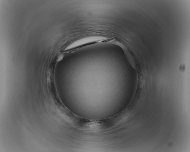 X0000113560219200910021602