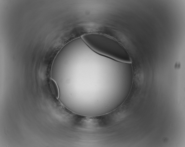 X0000113560221200910021602