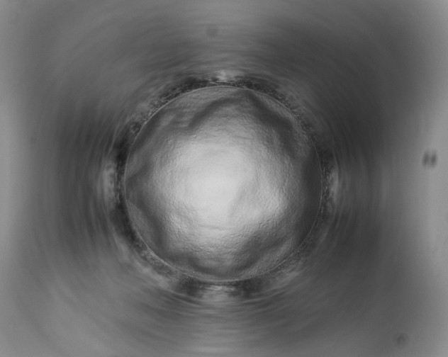 X0000113560222200910021602