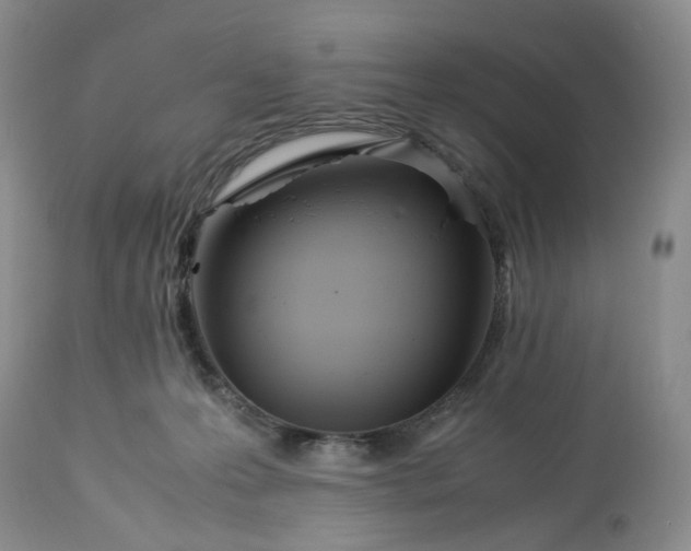 X0000113560223200910021602