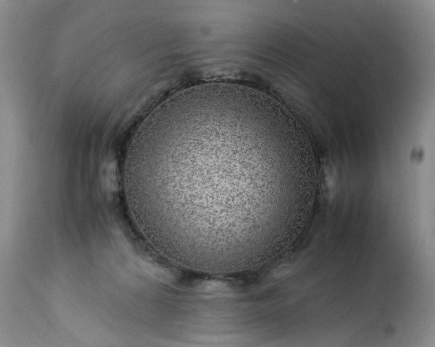 X0000113560224200910021602