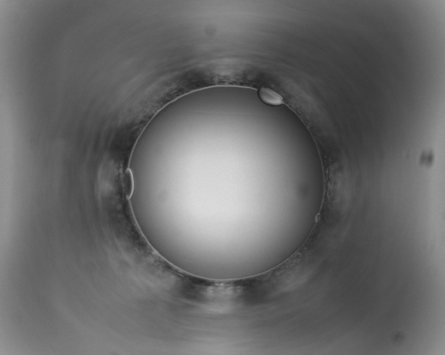 X0000113560225200910021602