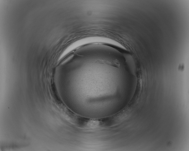 X0000113560227200910021602