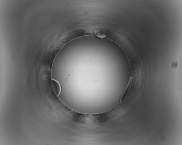 X0000113560229200910021602