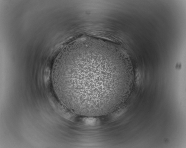 X0000113560230200910021602