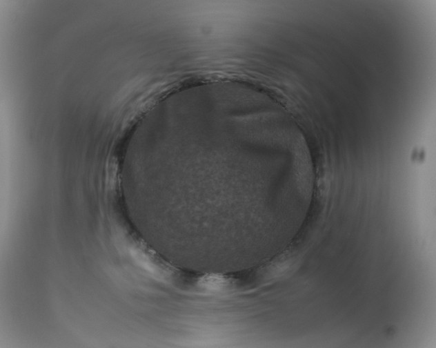 X0000113560231200910021602