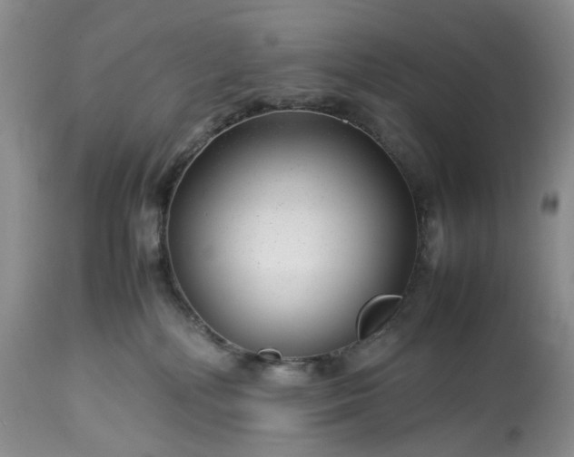 X0000113560232200910021602