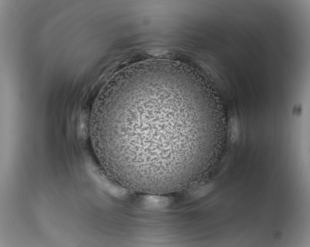 X0000113560234200910021602