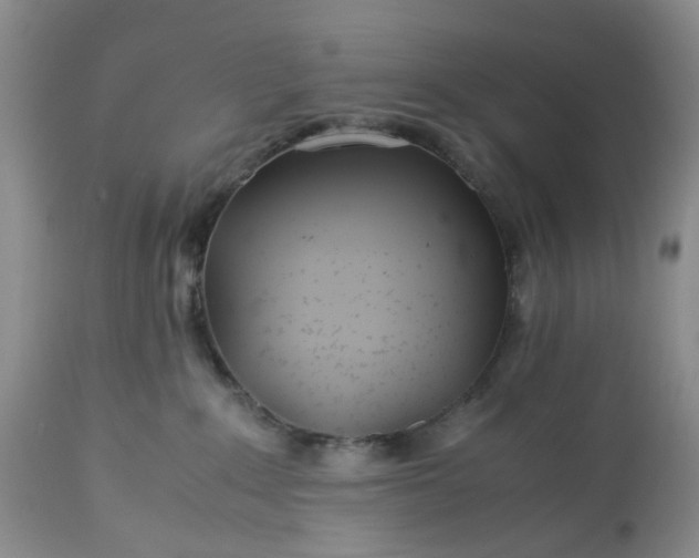 X0000113560235200910021602
