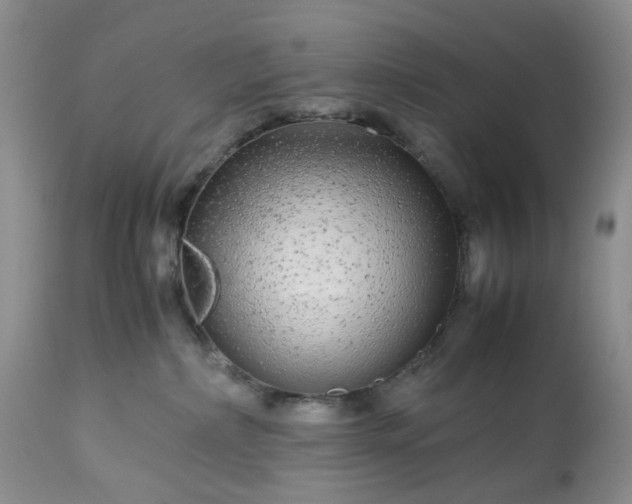 X0000113560236200910021602