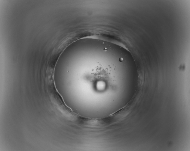 X0000113560237200910021602