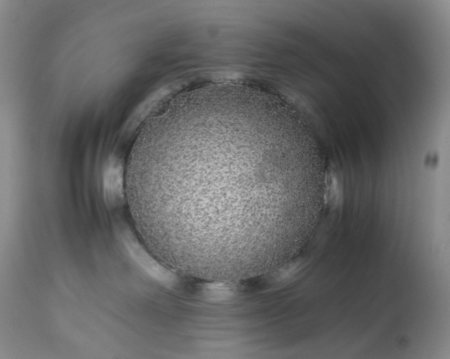 X0000113560238200910021602