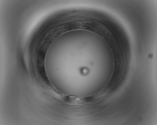 X0000113560239200910021602