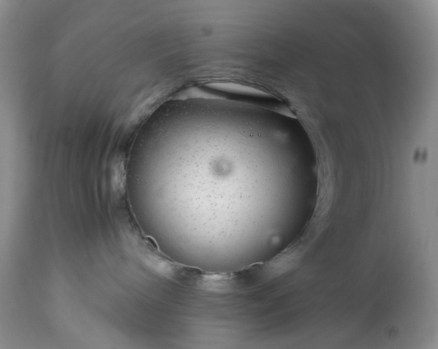 X0000113560240200910021602