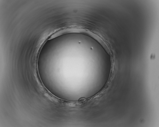 X0000113560241200910021601