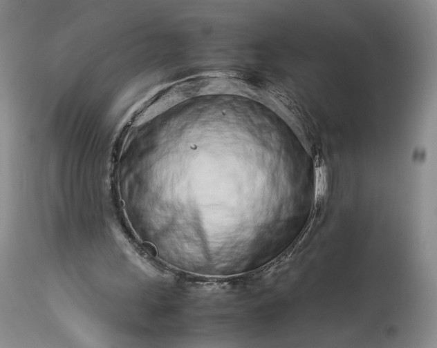 X0000113560243200910021601