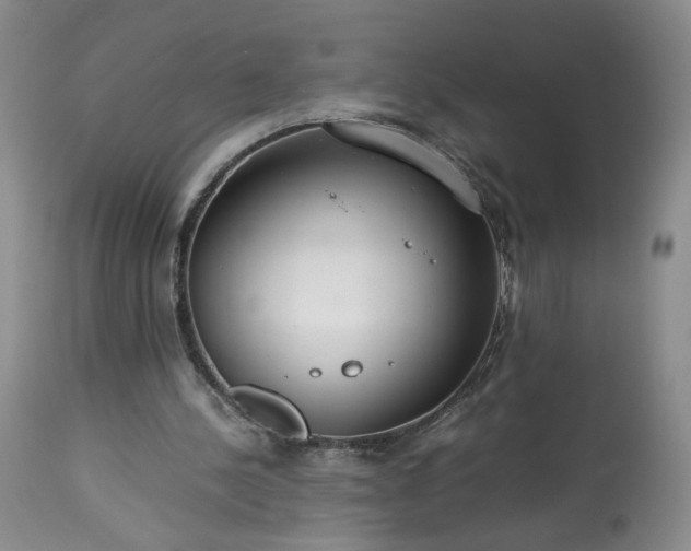 X0000113560244200910021601