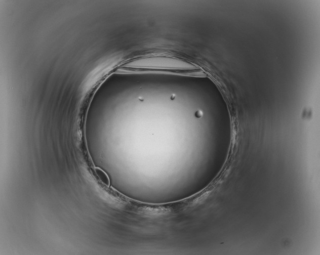 X0000113560245200910021601
