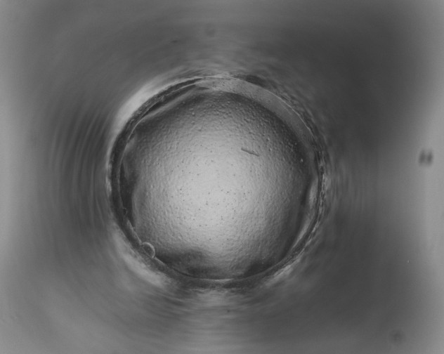 X0000113560246200910021601