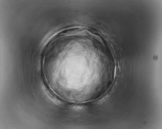 X0000113560247200910021601