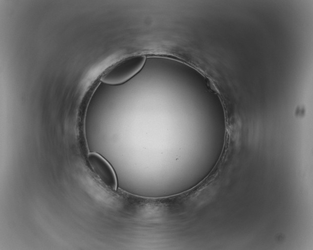 X0000113560248200910021601