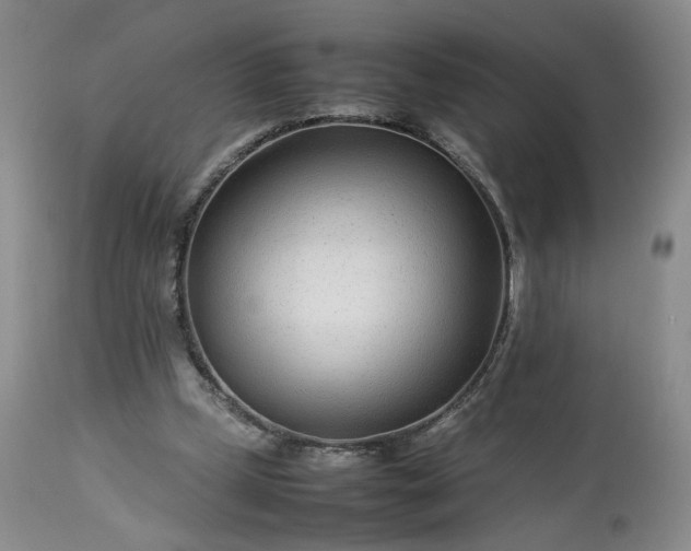 X0000113560249200910021601