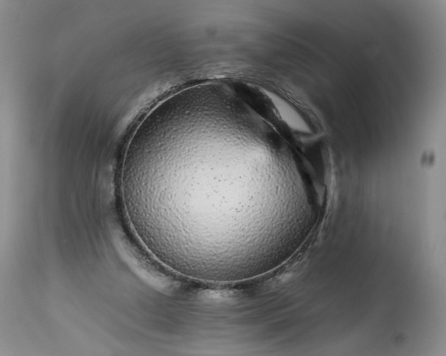 X0000113560250200910021601