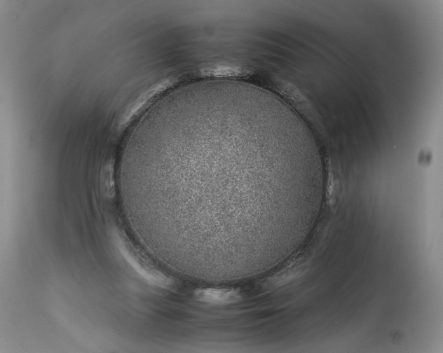 X0000113560251200910021602