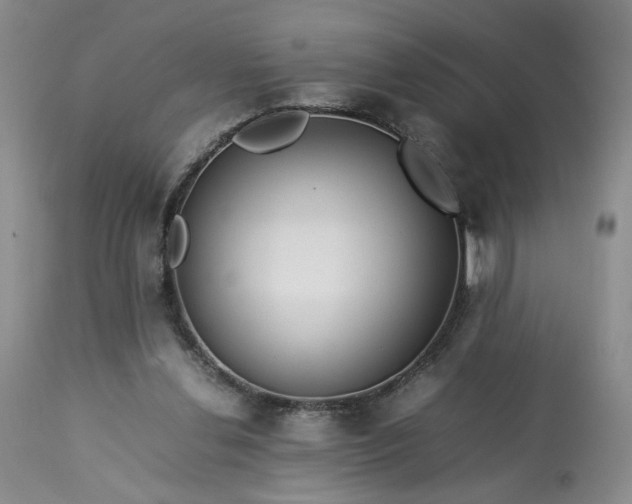 X0000113560252200910021602