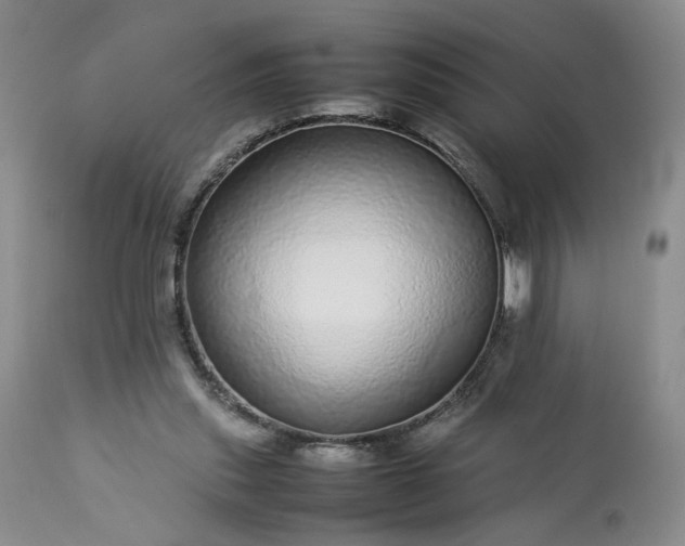 X0000113560253200910021602