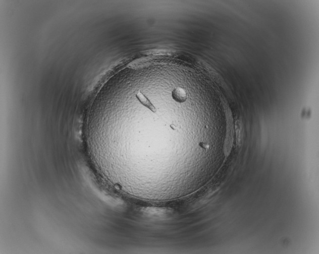 X0000113560255200910021602
