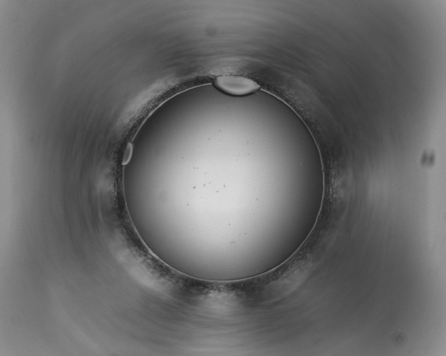 X0000113560256200910021602
