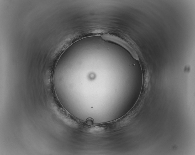 X0000113560257200910021602