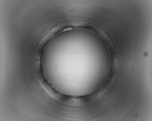 X0000113560260200910021602