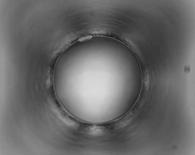 X0000113560261200910021602