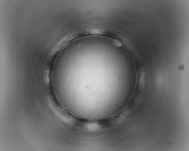 X0000113560262200910021602